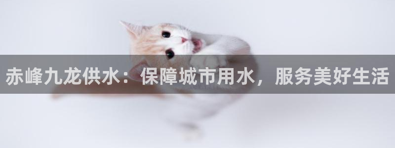 QY球友会体育官网