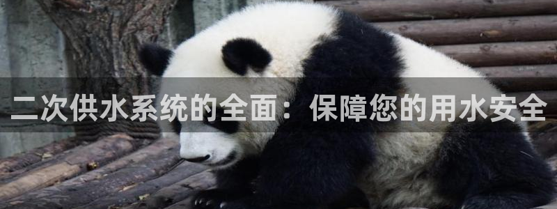 球友会台球俱乐部官网