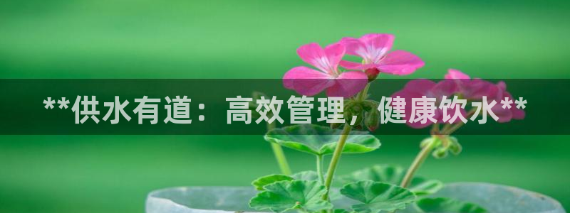 球友会体育app官方版下载安装手机