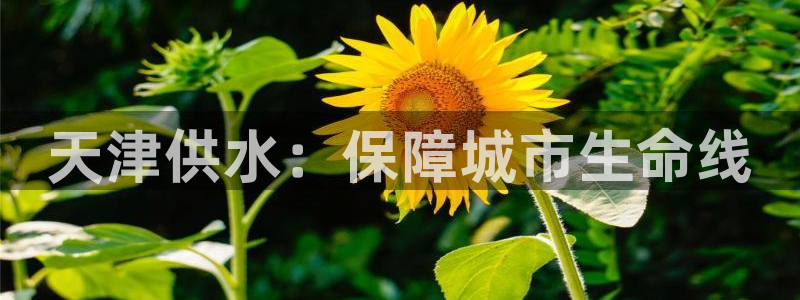 球友会在线登录账号吗安全吗