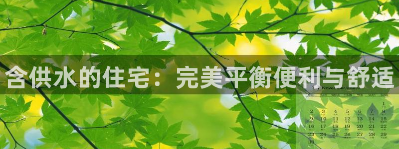 球友会台球俱乐部官网