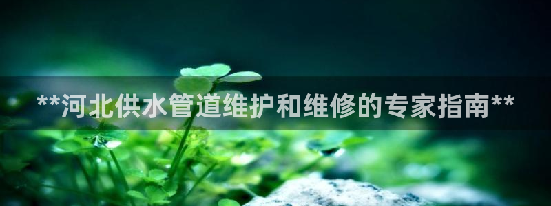 球友会下载