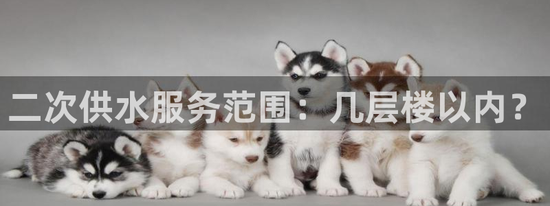 球友会登录地址