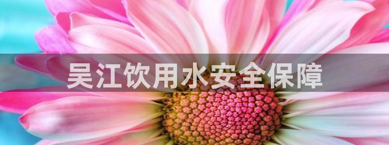球友会app官网下载安卓