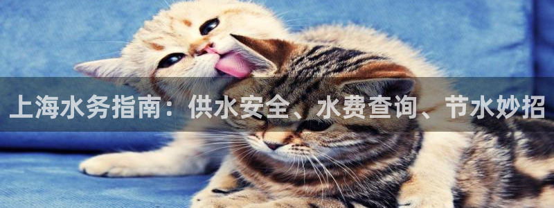 球友会官网