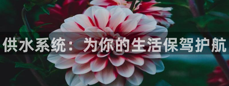 球友会友谊赛赛程赛果