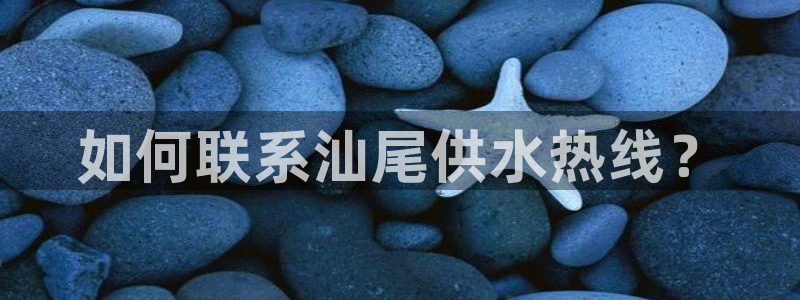 球友会曼联赛事