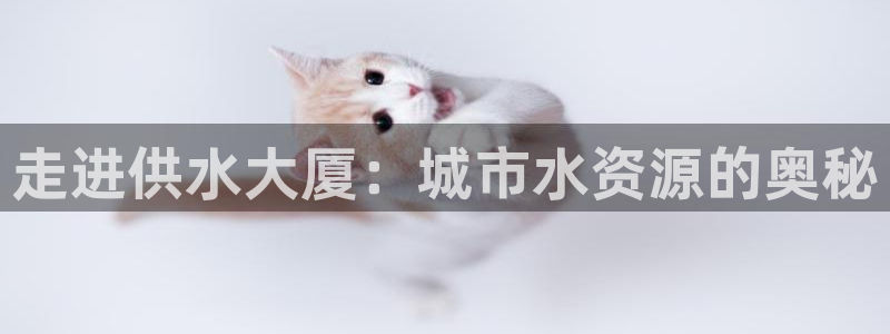 球友会app安全吗