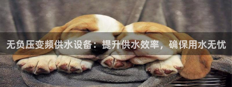 球友会网站多少