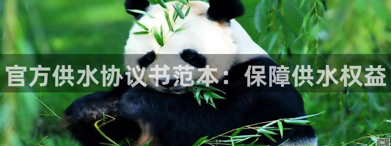 球友会台球俱乐部在哪