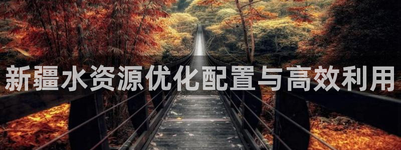 球友会官网入口在哪里