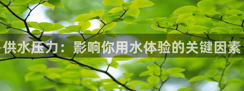球友会聚餐发言稿简短