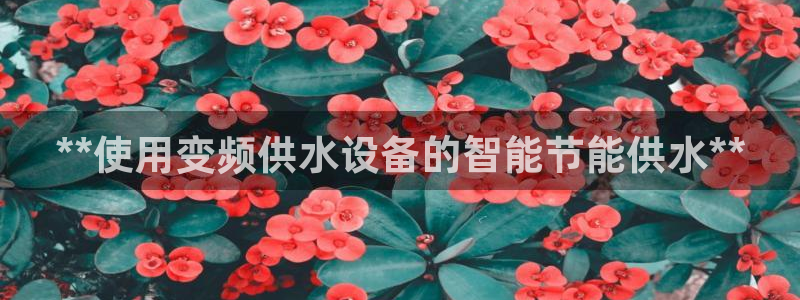 球友会比赛结果查询