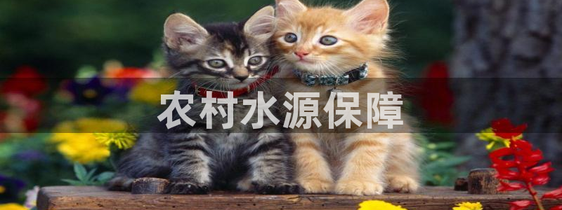 球友会app干啥的呀