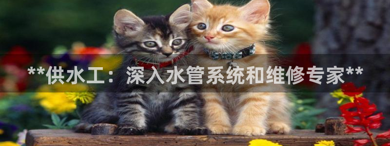 球友会体育app下载安卓版