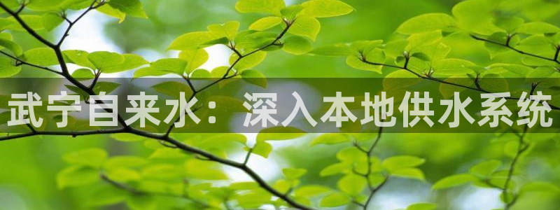 球友会APP