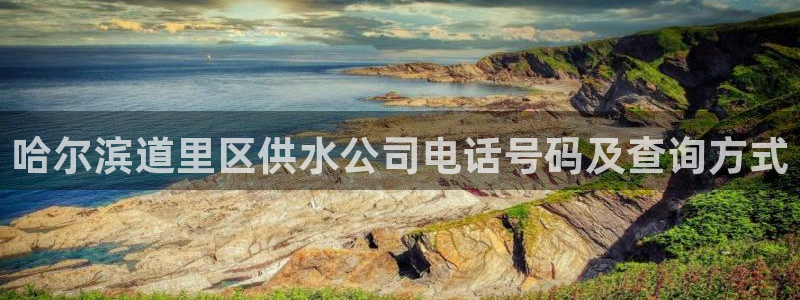 球友会官网登录入口手机版