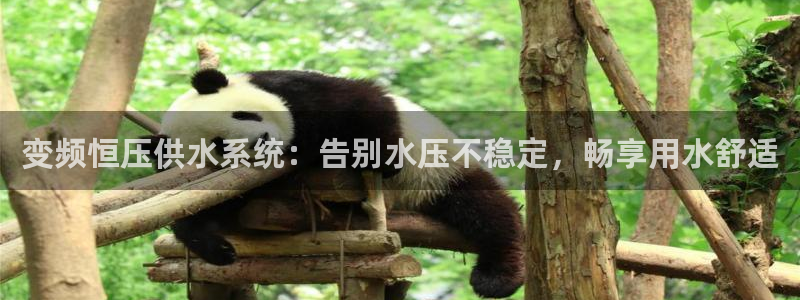 球友会比赛结果查询