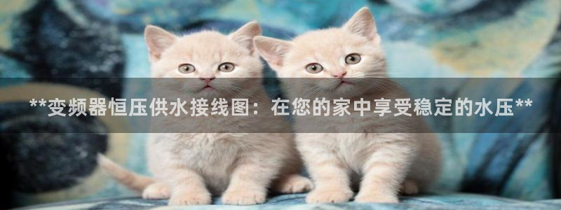 球友会app官方网站下载