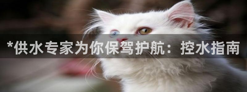 球友会赛程