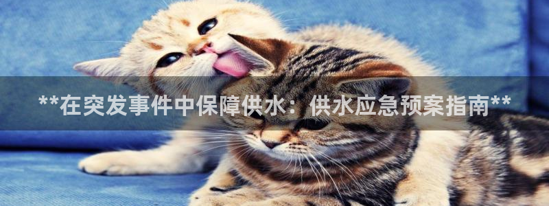 球友会聚餐发言简短