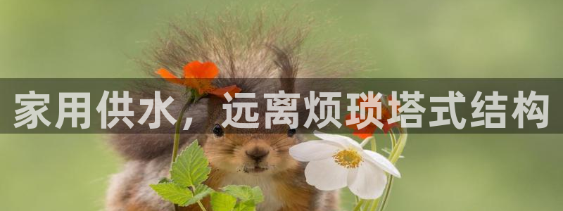 球友会链接