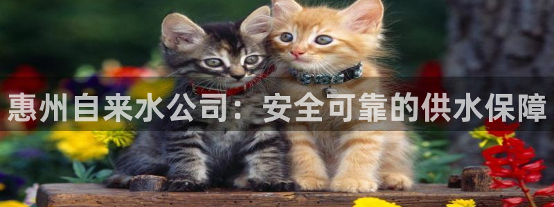 球友会app安全吗可靠吗是真的吗