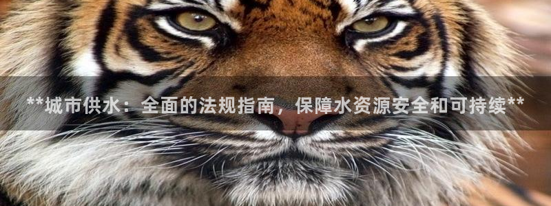 球友会提款审核中