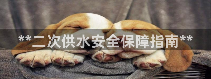 球友会apy