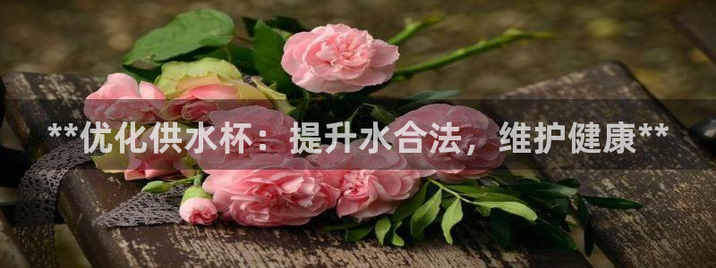 球友会qy怎么进不去