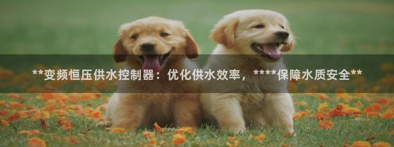 球友会台球俱乐部在哪