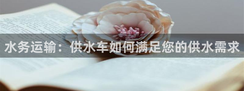 球友会提款审核中