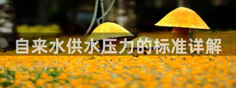球友会app官网