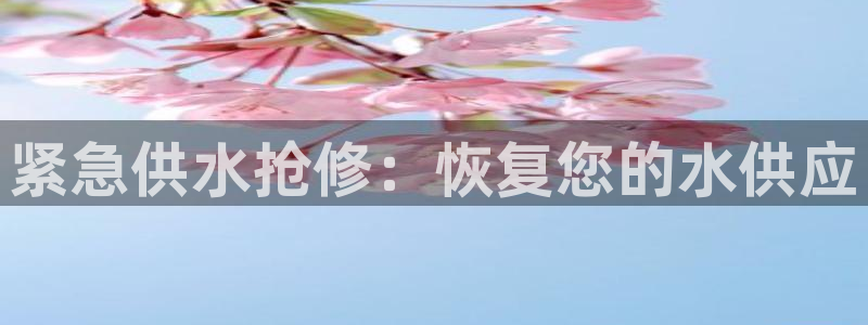 球友会友谊赛赛程