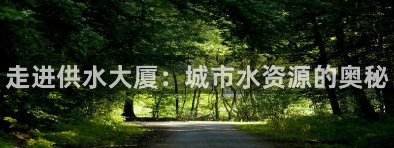 球友会审核
