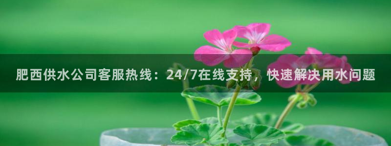 球友会下载
