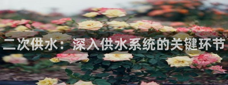球友会体育app下载官网苹果