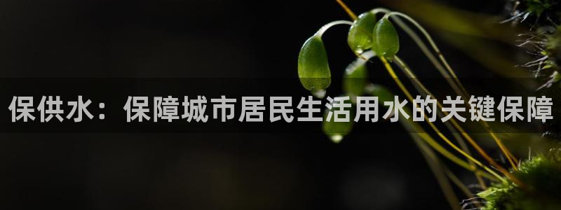 球友会入口
