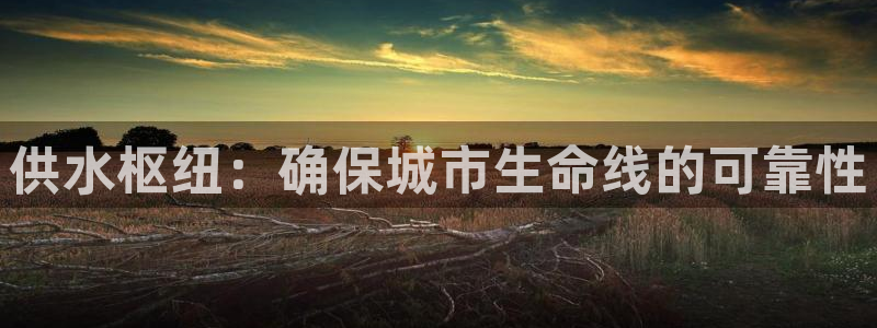 球友会官网入口网址