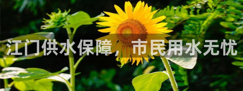 球友会提现不到账