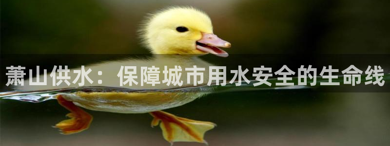 球友会体育app官方版下载安装最新