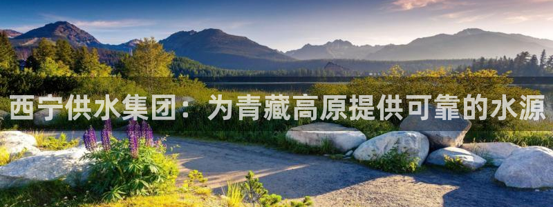 球友会logo