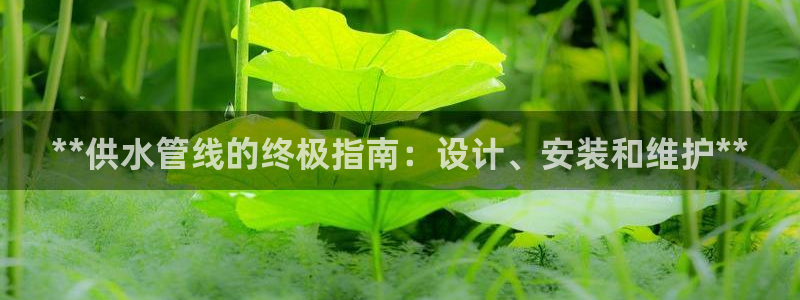 球友会提现游戏平台抽查