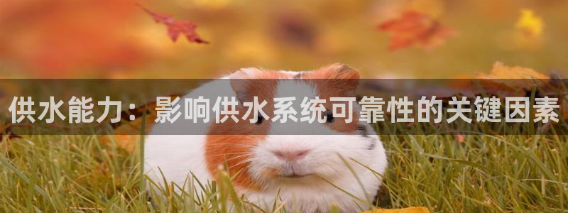 球友会登录地址