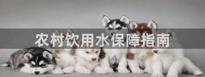球友会审核