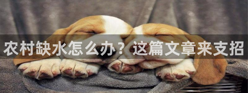 球友会提款审核中