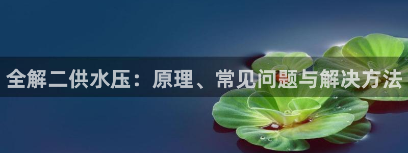 球友会提款审核中