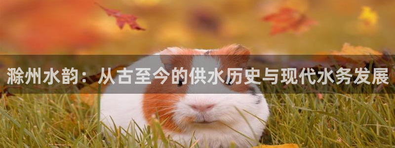 球友会app下载QY