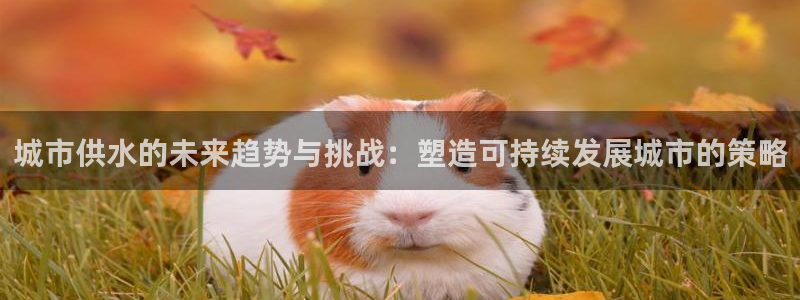 球友会app干啥的啊