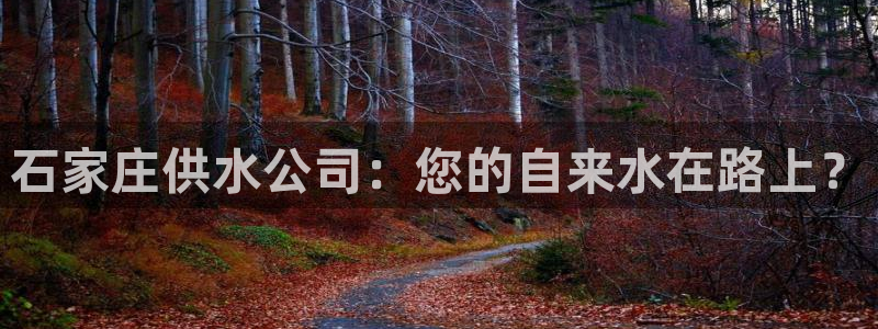 球友会体育app官方版下载安装苹果